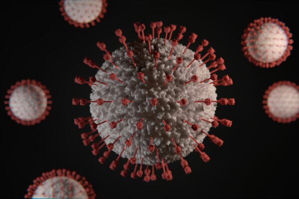 hmpv virus