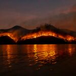 hollywood hills fire