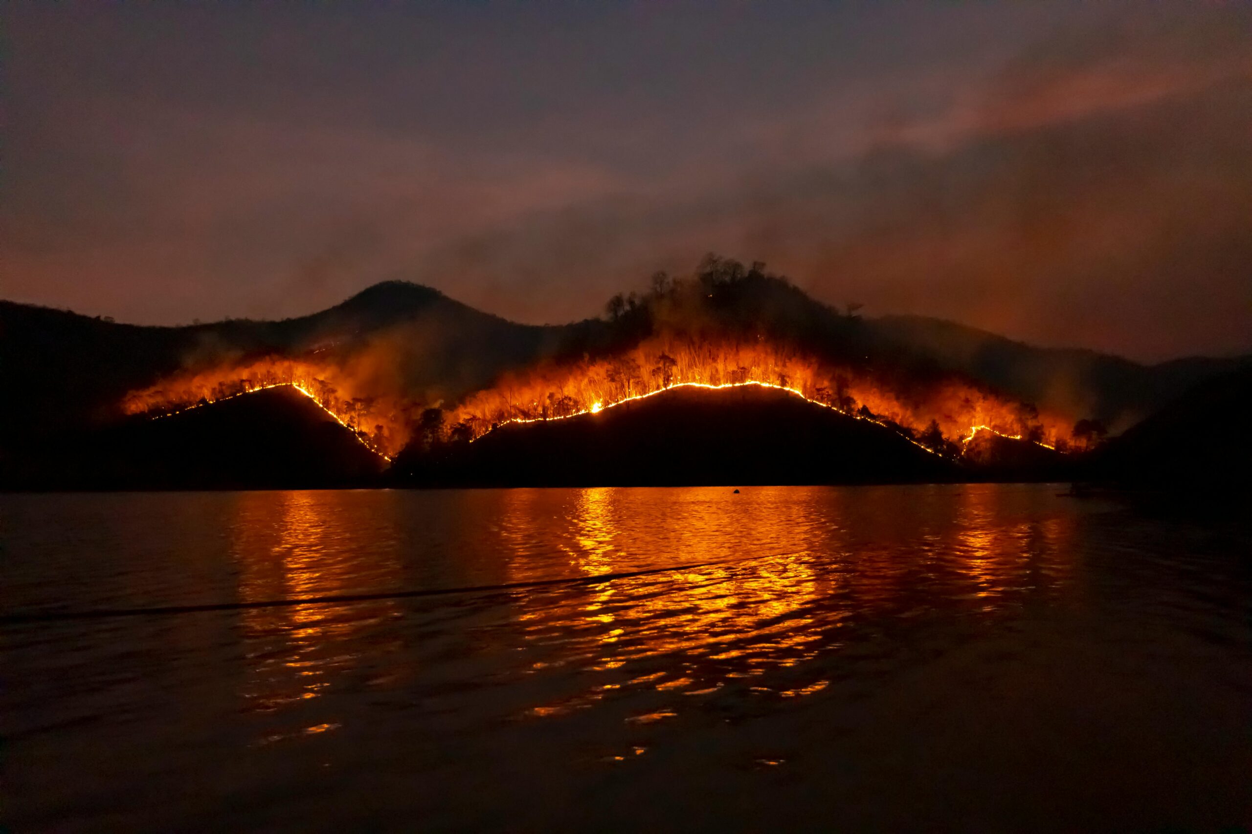 hollywood hills fire